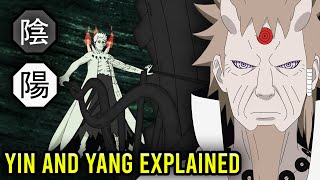 Yin and Yang Release Explained