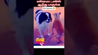 🐕என்னமா டான்ஸ் ஆடுது பாருங்க🐕என்னமா டான்ஸ் ஆடுது பாருங்க🐕என்னமா டான்ஸ் ஆடுது பாருங்க🐕