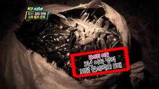 VJ특공대 - VJs on the Scene 20111111 #001