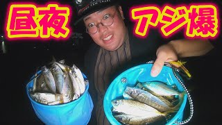 茨城県大津港で昼夜問わずアジが爆釣【アジング/サビキ釣り】