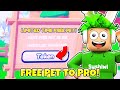 I Went From NOOB TO PRO With FREE Pets In Roblox Free Hatchers!