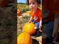 Taking my baby boy to the Pumpkin Patch 🎃 #shorts #pumpkin #babyboy #halloween #youtubeshorts