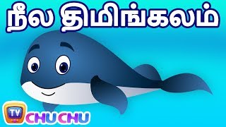 நீல திமிங்கலம் பாடல் (BLUE WHALE SONG) | ChuChu TV Tamil Rhymes for Children