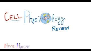 Cell physiology |  physiology review (BRS cell physiology lecture)