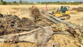 OMG!!incredible!! The Forest Clearing with​ Skills SHANTUI Dozer Plowing​