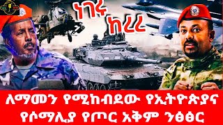 ለማመን  የሚከብደው  የኢትዮጵያና  የሶማሊያ  የጦር  አቅም  ንፅፅር