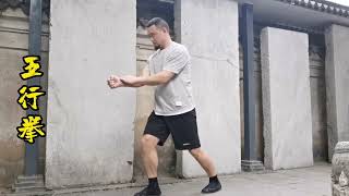 Five Element Fist Demo (五行拳示范)- Dai Family Xinyi Quan (戴家心意拳）#Kungfu #martialarts #功夫 #wushu