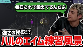 【クリップ集】これがハルが最近フィジカル最強な理由!? APEXの前にエイムを調整するハル!!【日本語字幕】【Apex】