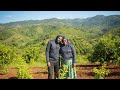 Turning a Mountain into a Beautiful Orchad in Deep Rural Zimbabwe