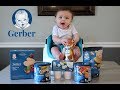 GERBER SNACK REVIEW! (8 months +)