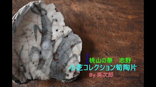 志野　筍陶片　小芝コレクション