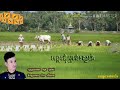 អង្គរជុំទ្រនំស្នេហ៍ ច្រៀងដោយ សួន ប៊ុនសំ angkor chum tronom sne soun bunsom