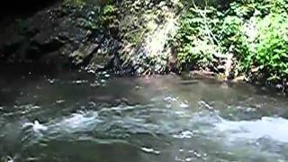 2010年08月24日「まだ夏の釣り」tenkara.com remake