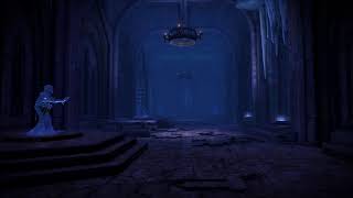 Skyrim - Forgotten Vale Inner Sanctum Ambiance (echos, ice, wind, white noise, live wallpaper)