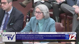 Status of Echo Village discussed at homelessness hearing