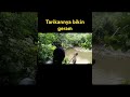 mancing dispot belum terjamah #mancing