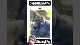 #funny #comedy #monkey #gorilla #animals #pets #funnyanimals #dubbingdappa #shortsfeed #animalvideos