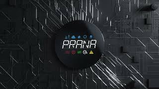 Рекуператор PRANA