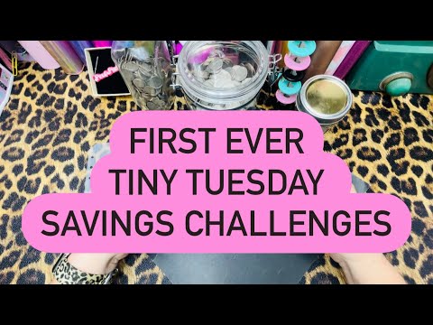 First Ever Tiny Tuesday Saving Challenges Youtube