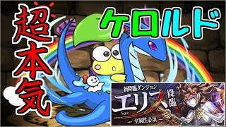 【エリス降臨】ケロルド～ふざけてません、超本気です～【パズドラ実況】