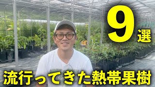 流行ってきた熱帯果樹「9選」！寒さ限界値の栽培メリットとは!?