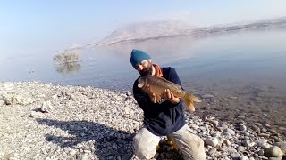 yeni merada güzel aksiyonlar yaşadım#fishing #carpfishing #fish #balık #camping #carp #doğa #aynalı