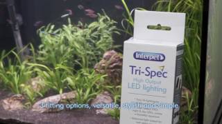 Interpet's Tri Spec LED Aquarium Lighting