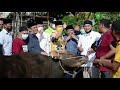 Peninjauan Pemotongan Hewan Qurban Di Kantor PWI Provinsi Riau