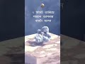 100% লোক বলতে পারবে না😲 magic video vairal magic video saiful123