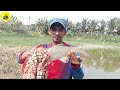 প্রতি টানে রুই মাছ hook_fishing uniquehookfishing primitivefishing