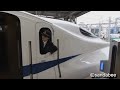 美人車掌の新幹線運行業務。beautiful woman conductor of the shinkansen.