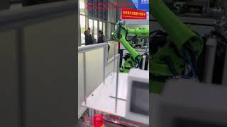 Auto Laser Cutting Machine with Mechanical Arm_LaiLiSi