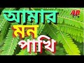 Amar Mon Pakhi | আমার মন পাখি | Ar Media | 2024