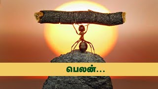 vasanam in tamil | பைபிள் வசனம் | இன்றைய வசனம் | today bible vasanam in tamil | 19.04.2021