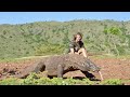 Bertahan 24 Jam di KOMODO ISLAND Challenge (Komodo Dragon)