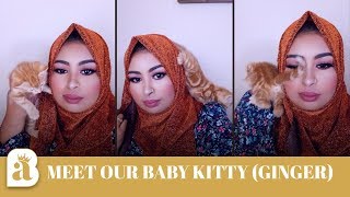 Guriga waxaa kuso kordhey wax cusub baby bisad ( mukulaal )or(nyanyur) | Meet Our Baby Kitten Ginger