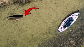 Sight casting STACKED winter REDFISH! Inshore kayak fishing