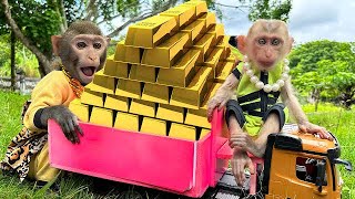 Smart Bim Bim and baby monkey Obi harvest treasure chests in the garden