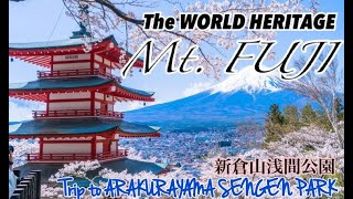 The WORLD HERITAGE Mt. FUJI + Arakurayama Sengen Park 【富士山】と【新倉山浅間公園】