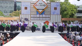 [4K] 学生団体コンパスよさこいチーム叢雲 ② よさこい鳴子踊り特別演舞 2022 土佐学生よさこい大会