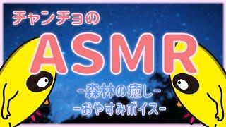 チャンチョの《ASMR》森の中で〜癒しを〜