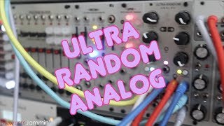 Steady State Fate - Ultra Random Analog