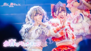 【LIVE】君に、胸キュン。「恋愛決壊警報」（2024.4.9 at Zepp Nagoya）【4K】