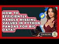 How To Efficiently Handle Missing Values In Python Pandas For Big Data? - Python Code School