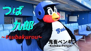 鬼畜ペンギン　つば九郎　12球団マスコットをゆっくり解説Part3　　＃プロ野球　＃鬼畜ペンギン　＃マスコット