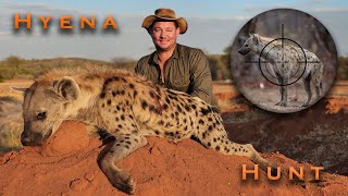 Hunting Spotted Hyena, Kunene Namibia Adventure - Hyena! #hyena #hunting