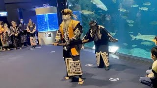 アイヌ文化との関わりを講演　大水槽の前で伝統舞踊の披露も　千歳