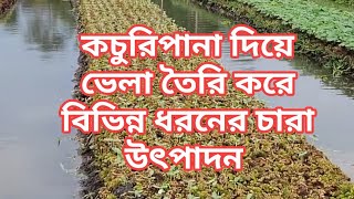 কচুরিপানা দিয়ে ভেলা তৈরি করে বিভিন্ন ধরনের চারা উৎপাদন।#bangladesh #agriculture #grow #nars