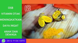 vitamin nutrisi otak anak 0812.9158.4895, vitamin otak anak yg paling bagus