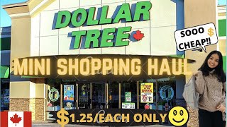 Dollar Tree Mini Haul- Cheapest store for international students in Canada| Student Life in Canada